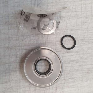 441829 SEALING RING