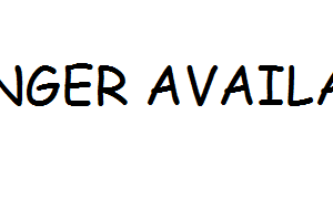 1250000065 OVEN DOOR SEAL NO LONGER AVAILABLE