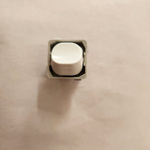 30509NLS 10amp Switch Mech
